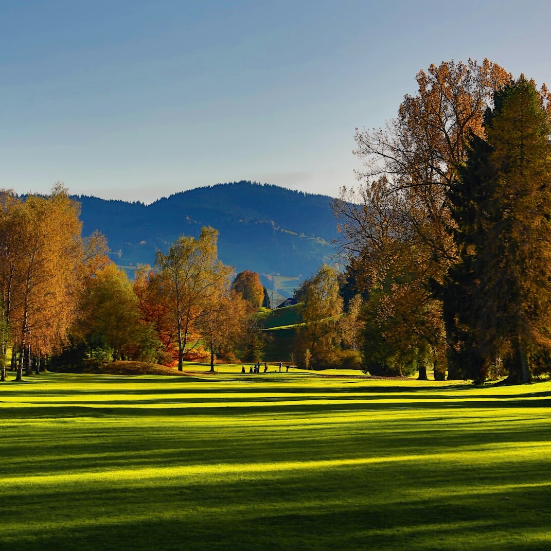 green open field surrounded with tall and green trees viewing mountain